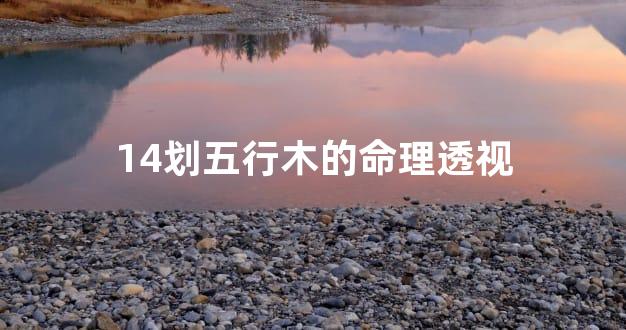 14划五行木的命理透视