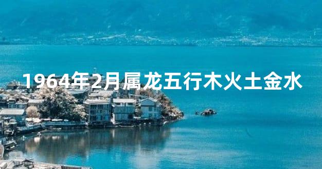 1964年2月属龙五行木火土金水