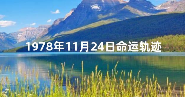 1978年11月24日命运轨迹