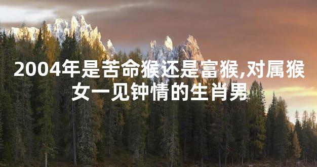2004年是苦命猴还是富猴,对属猴女一见钟情的生肖男