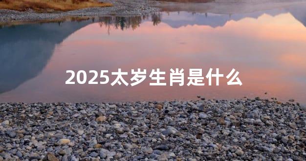 2025太岁生肖是什么