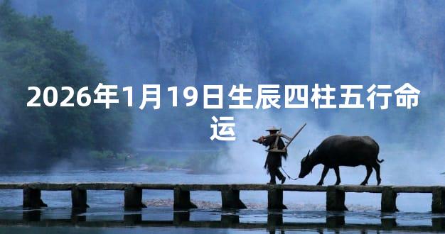 2026年1月19日生辰四柱五行命运