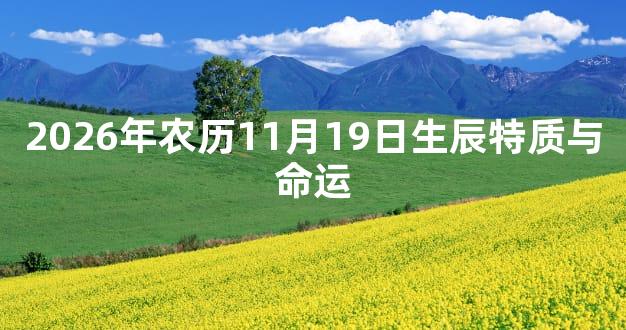 2026年农历11月19日生辰特质与命运