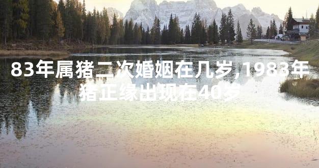 83年属猪二次婚姻在几岁,1983年猪正缘出现在40岁
