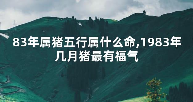 83年属猪五行属什么命,1983年几月猪最有福气
