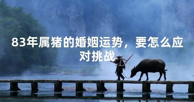 83年属猪的婚姻运势，要怎么应对挑战