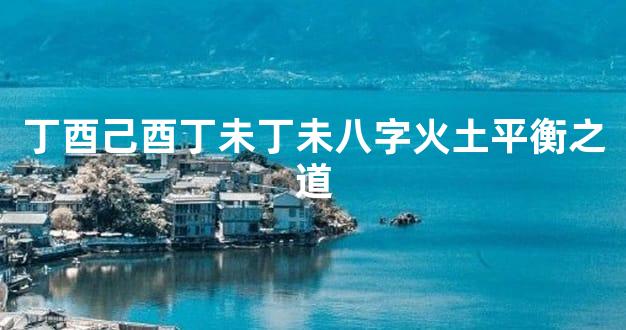 丁酉己酉丁未丁未八字火土平衡之道