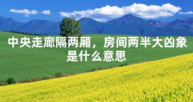 中央走廊隔两厢，房间两半大凶象是什么意思