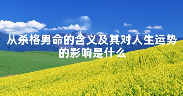 从杀格男命的含义及其对人生运势的影响是什么