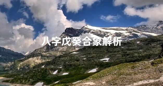 八字戊癸合象解析