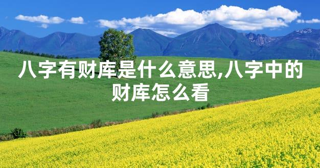 八字有财库是什么意思,八字中的财库怎么看