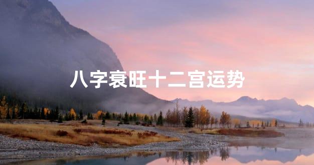 八字衰旺十二宫运势
