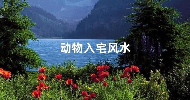 动物入宅风水