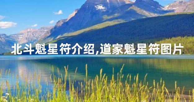 北斗魁星符介绍,道家魁星符图片
