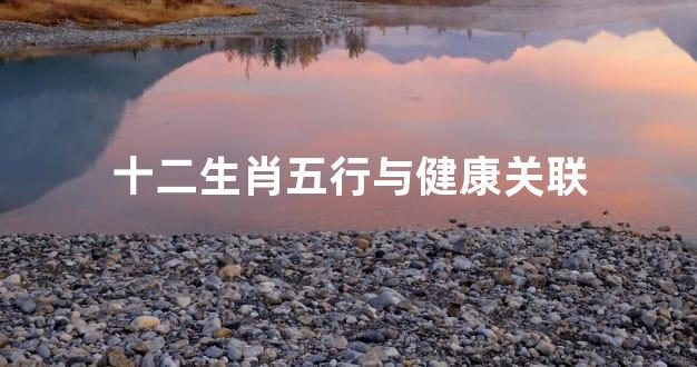 十二生肖五行与健康关联