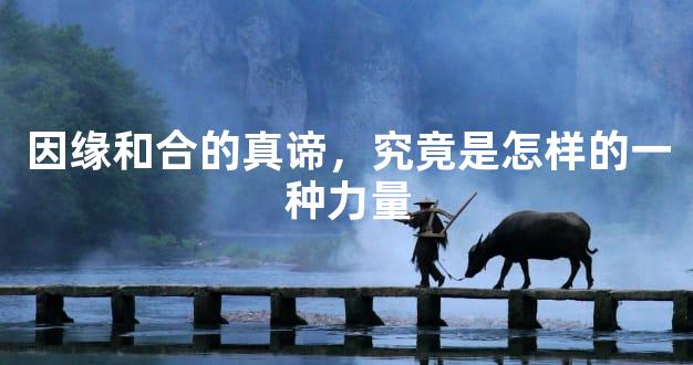 因缘和合的真谛，究竟是怎样的一种力量