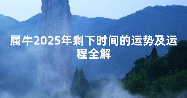 属牛2025年剩下时间的运势及运程全解