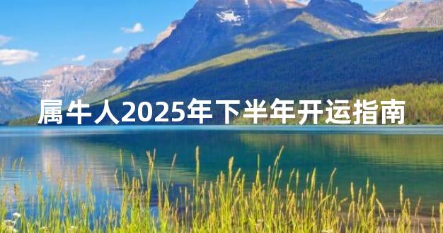 属牛人2025年下半年开运指南