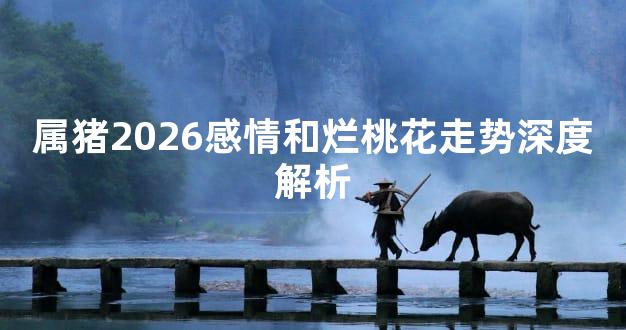 属猪2026感情和烂桃花走势深度解析