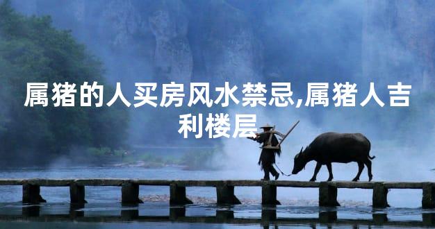 属猪的人买房风水禁忌,属猪人吉利楼层
