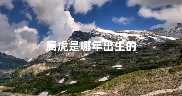 属虎是哪年出生的
