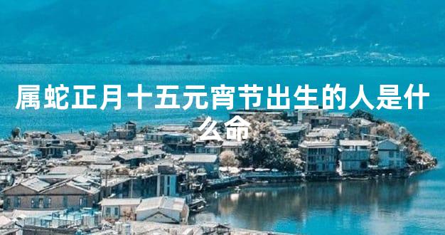属蛇正月十五元宵节出生的人是什么命
