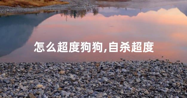 怎么超度狗狗,自杀超度