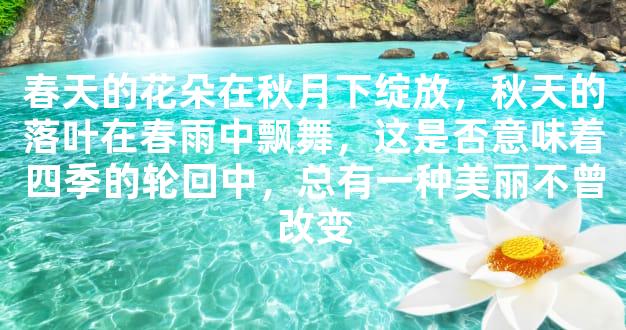 春天的花朵在秋月下绽放，秋天的落叶在春雨中飘舞，这是否意味着四季的轮回中，总有一种美丽不曾改变