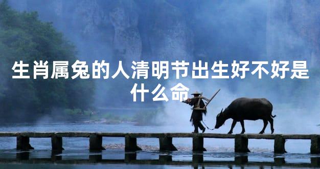 生肖属兔的人清明节出生好不好是什么命