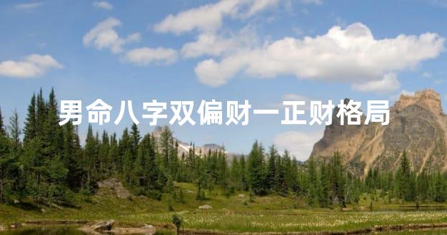 男命八字双偏财一正财格局