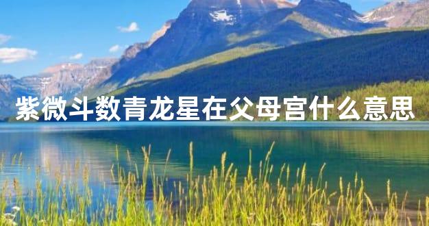 紫微斗数青龙星在父母宫什么意思