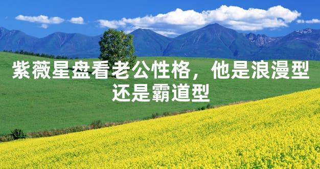 紫薇星盘看老公性格，他是浪漫型还是霸道型