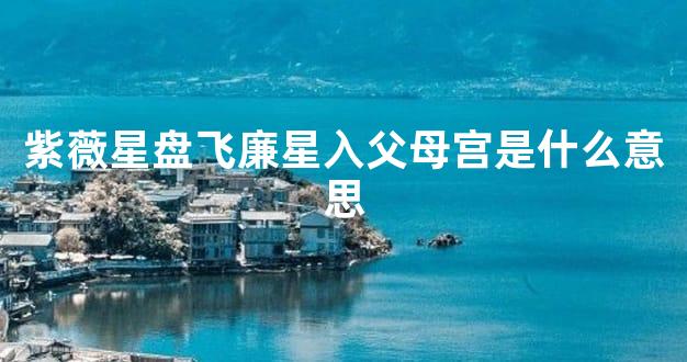 紫薇星盘飞廉星入父母宫是什么意思