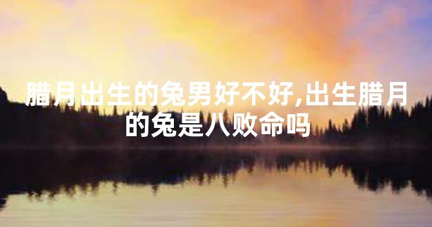腊月出生的兔男好不好,出生腊月的兔是八败命吗