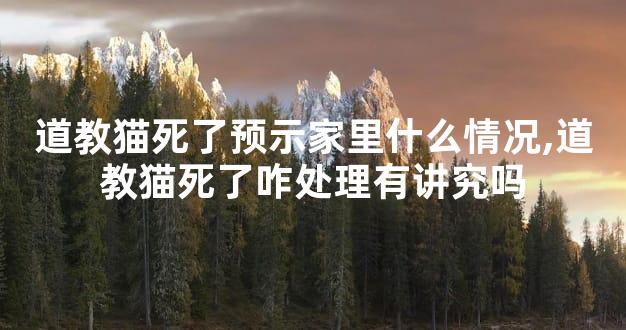 道教猫死了预示家里什么情况,道教猫死了咋处理有讲究吗