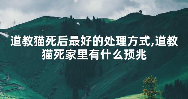道教猫死后最好的处理方式,道教猫死家里有什么预兆