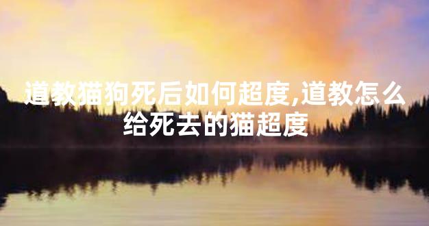 道教猫狗死后如何超度,道教怎么给死去的猫超度