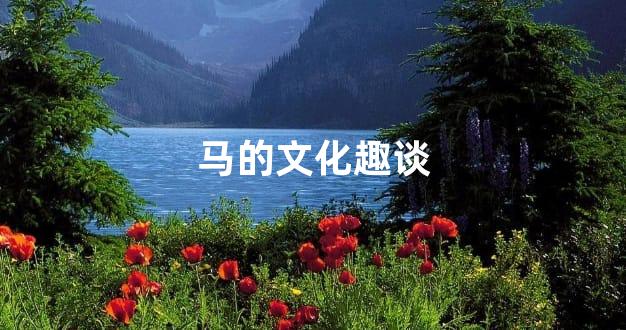 马的文化趣谈